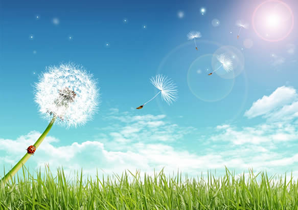 GRacias por el dia de sol